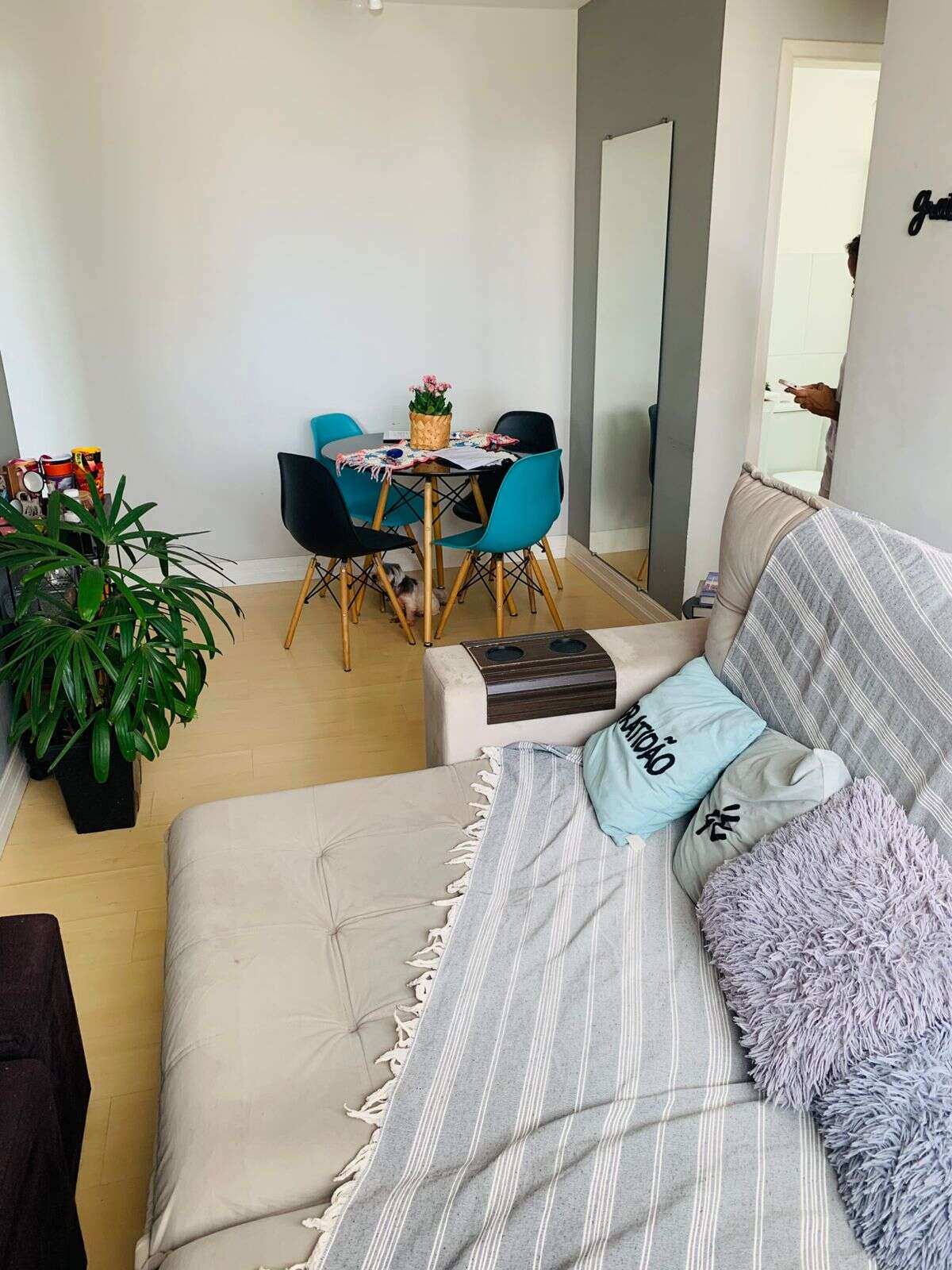 Apartamento à venda  Nova Europa